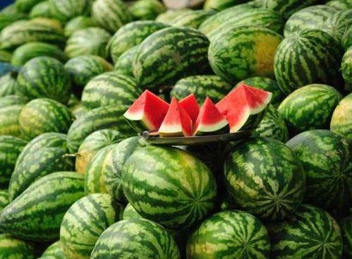 吃瓜事件网红2024,网络风云再起  第3张