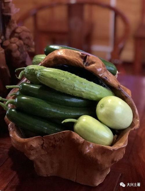 网红吃瓜官网 第3张 网红吃瓜官网 第3张